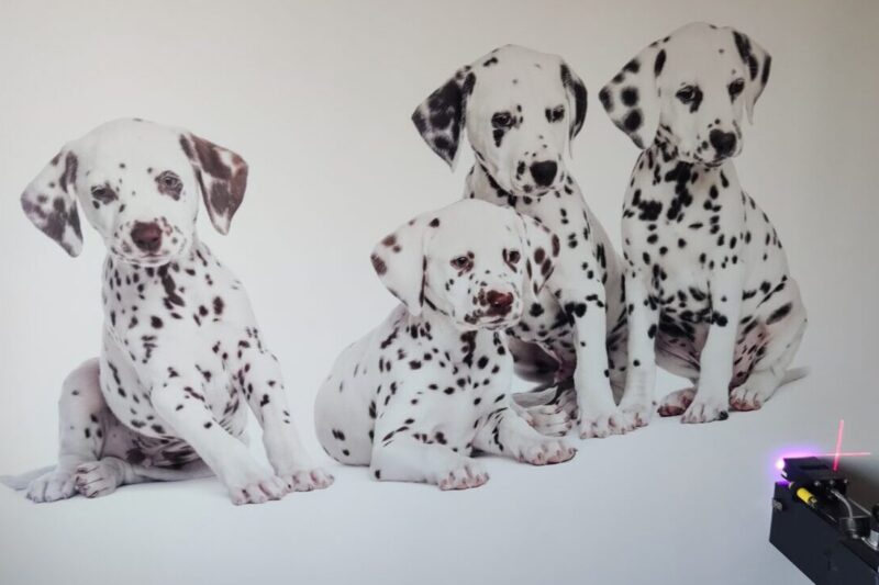 Czego w Polsce brakuje i na czym można zarobić